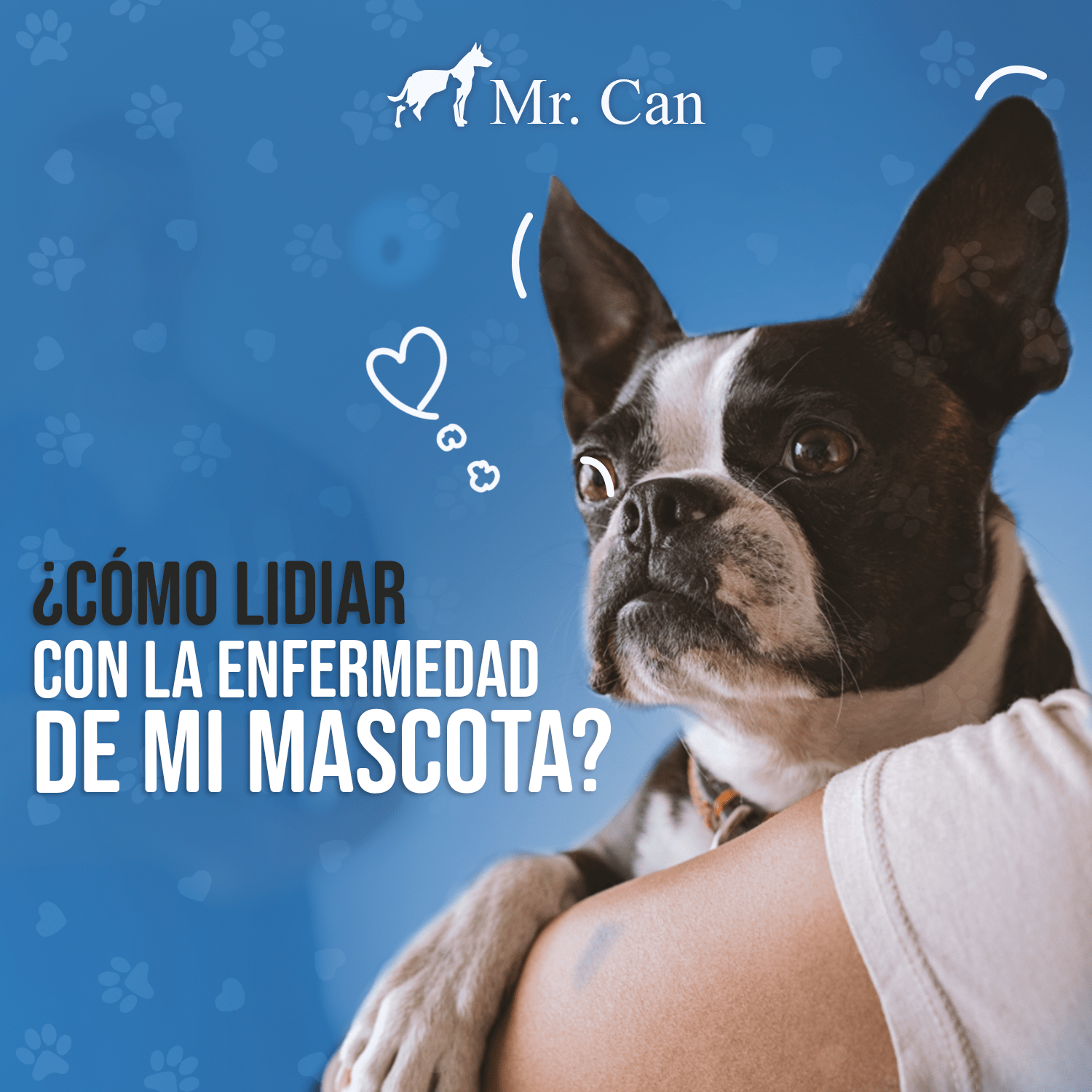 Cómo lidiar con la enfermedad de mi mascota - Veterinaria Mr. Can