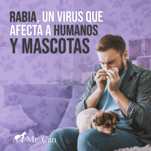 Rabia un virus que afecta a humanos y mascotas
