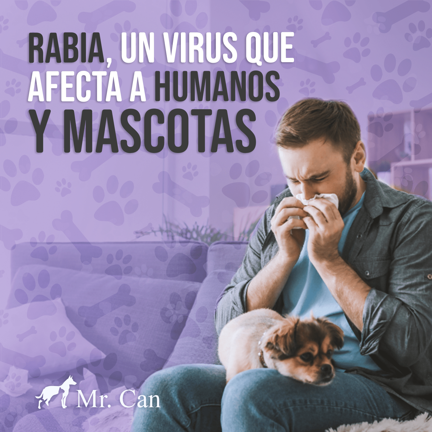 Rabia Un Virus Que Afecta A Humanos Y Mascotas Veterinaria Mr Can