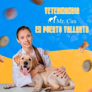 Veterinaria Mr Can en Puerto Vallarta