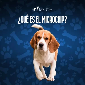microchip para mascotas
