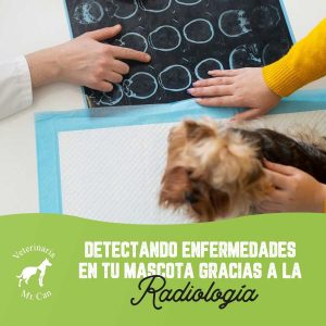 Detectando enfermedades con Radiología