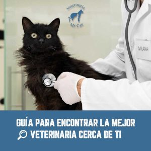 Veterinaria cerca de mi