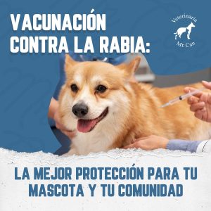 vacunación contra la rabia