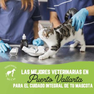 Veterinarias en Puerto Vallarta