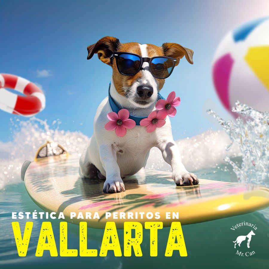 estetica para perritos en Vallarta