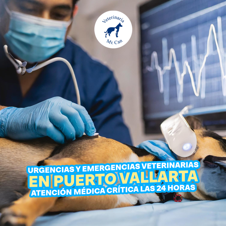 Urgencias y emergencias veterinarias en Puerto Vallarta: Atención médica crítica las 24 horas