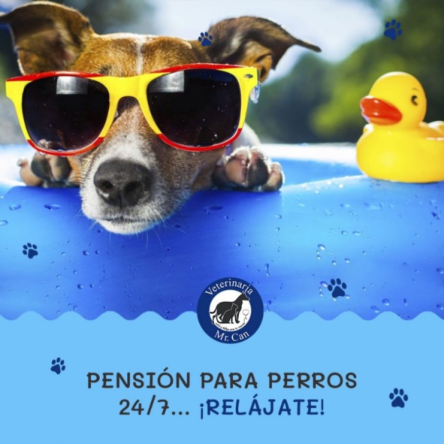 pensión para perros en Vallarta